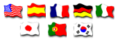 Language Flags