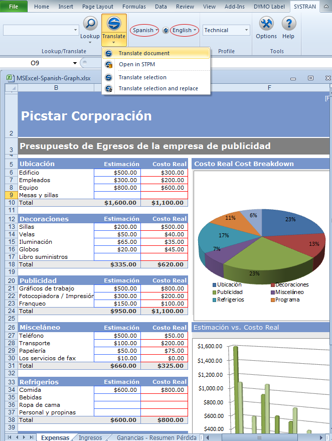 Excel Spanish Document before Translation