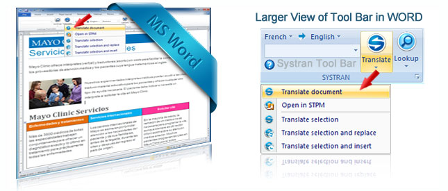Document Viewer: Translating Documents