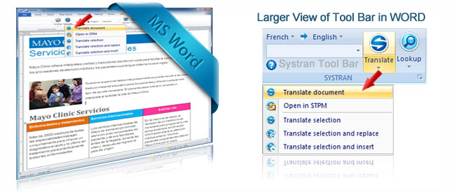 Microsoft Word Translator