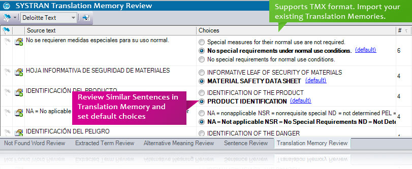 Translation Memory Review