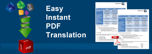 Document Viewer: Translating Documents